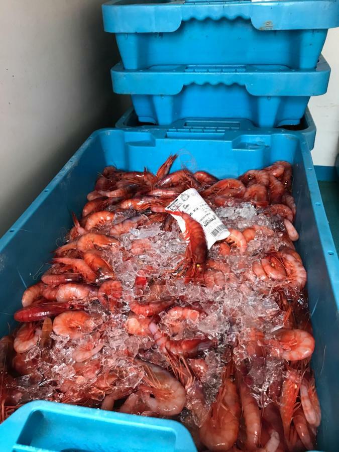 Appartamento Casita De Pescador Calafell Esterno foto